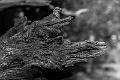 2019_10_14 (0050)